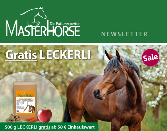 (c) Masterhorse-newsletter.de